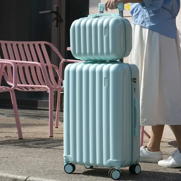 2 pcs Carry On Luggage with Spinner Wheels